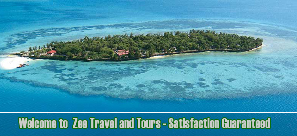 ezee travel and tours